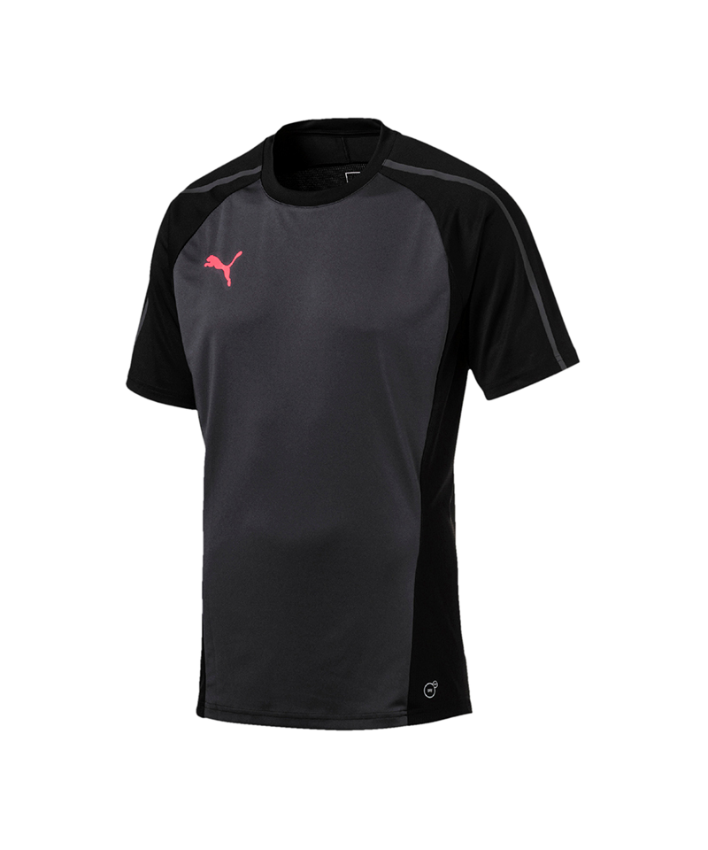 PUMA evoTRG Training Tee T-Shirt Schwarz F06