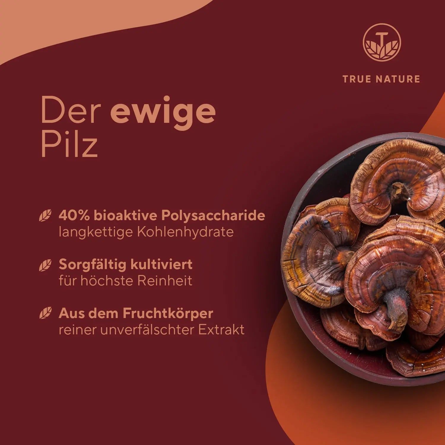 TRUE NATURE® Reishi Pilz Extrakt Kapseln - Vegan & Made in Germany