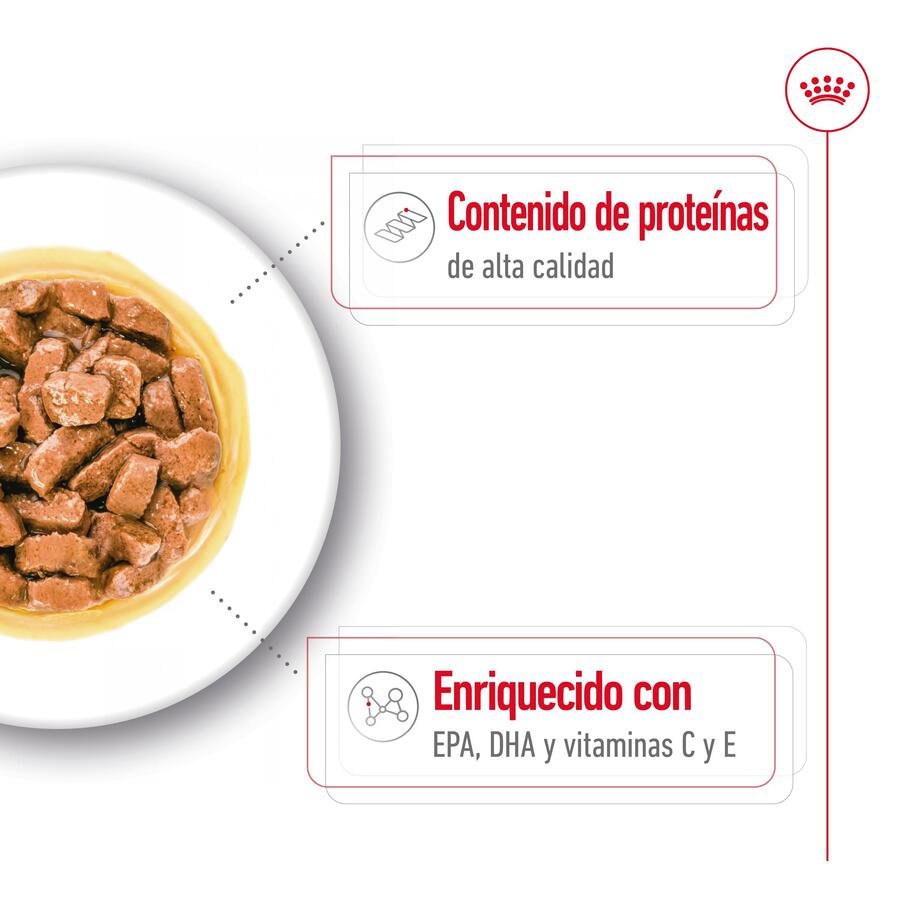 Royal Canin Medium Ageing sobre en salsa para perros