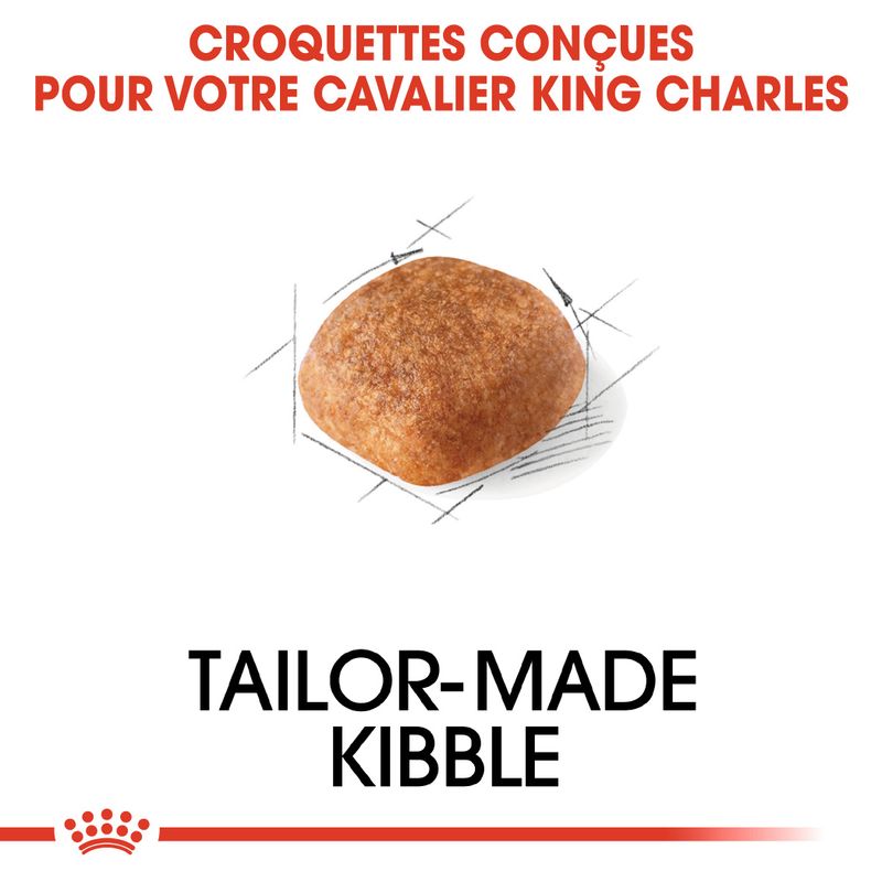Royal Canin Cavalier King Charles Adult à prix discount sur bitiba.fr