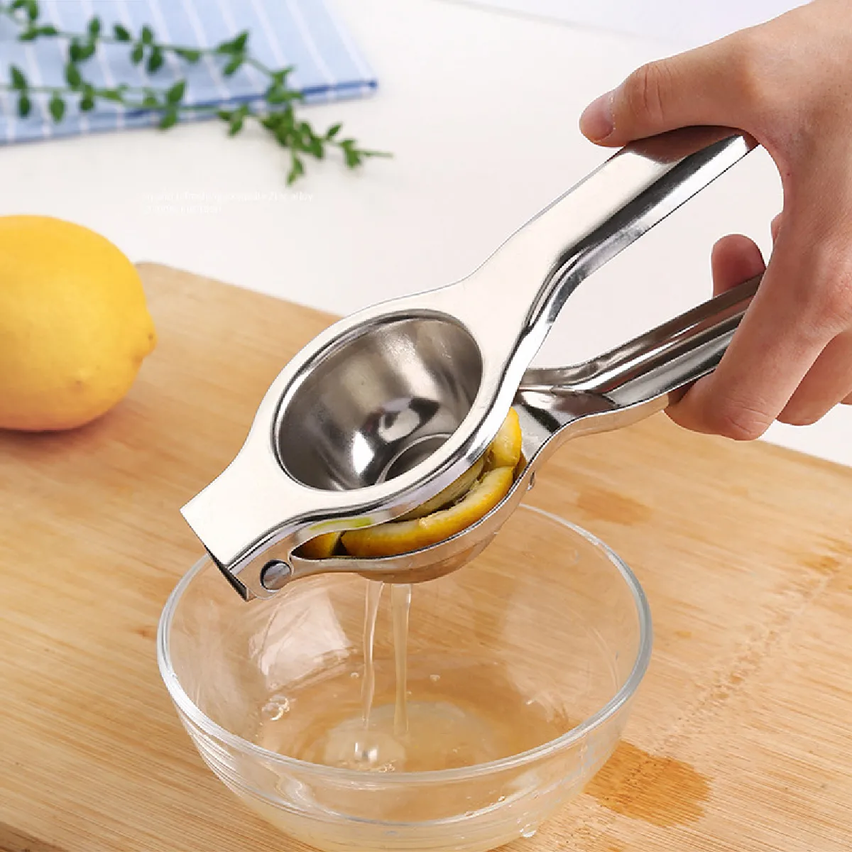Universal Mini Presse-Fruits Inoxydable - Argent