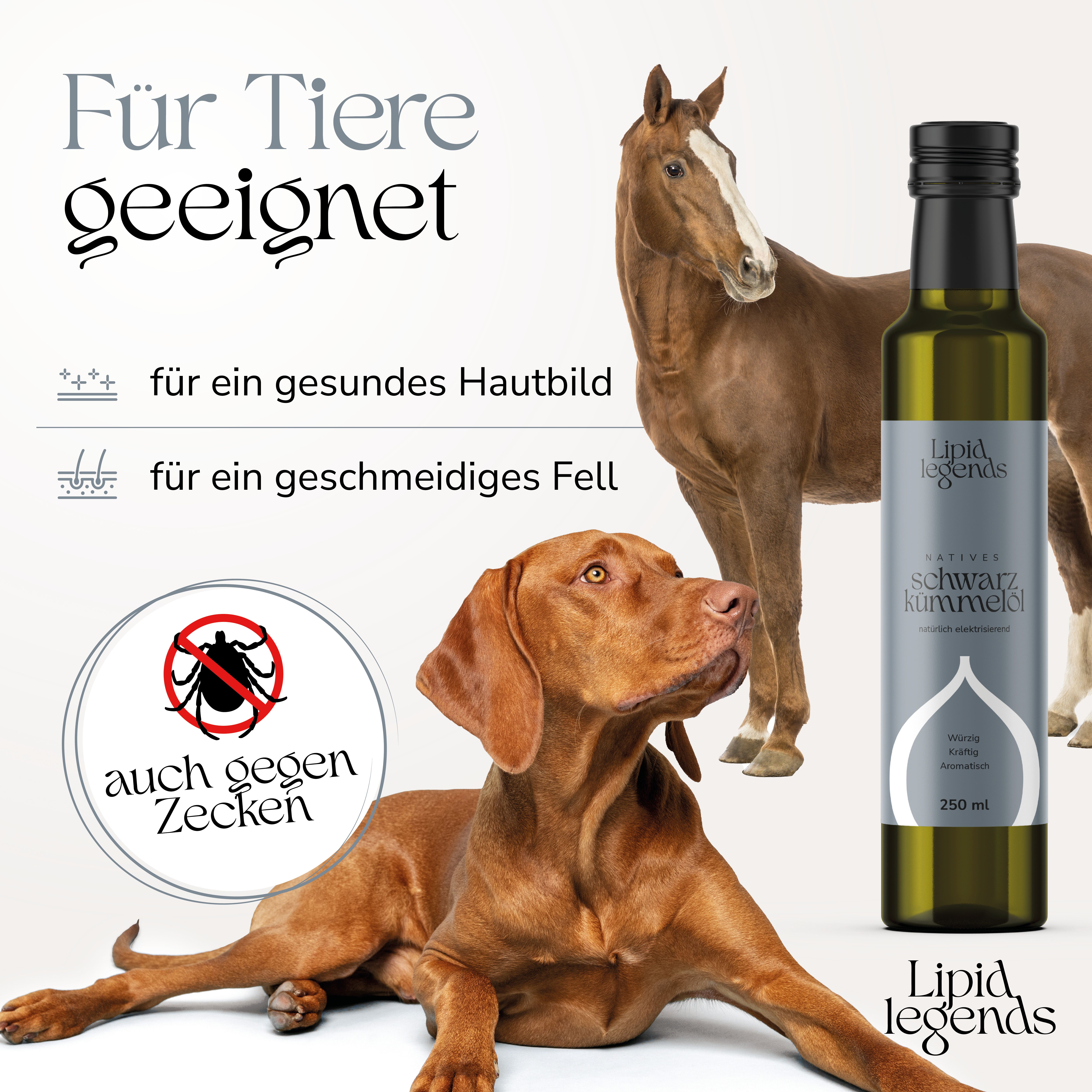 LIPID LEGENDS Schwarzkümmelöl