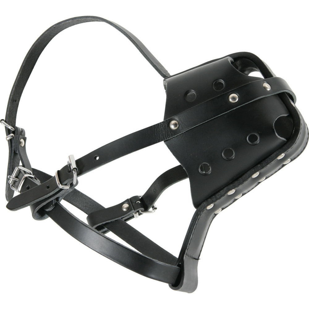 Muselière en cuir pour rottweiler pour chien.