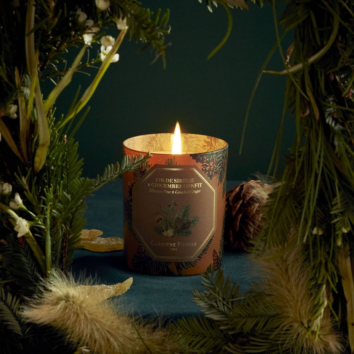 CARRIÈRE FRÈRES Pin de Sibérie &  Gingembre Confit Bougie Parfumée