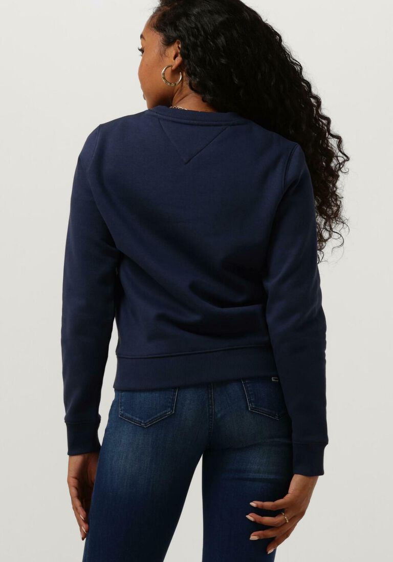 TOMMY JEANS blauwe tommy jeans sweater tjw regular fleece c neck