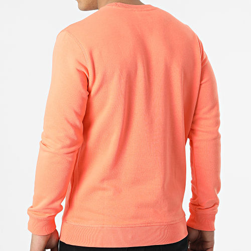 Sweat Crewneck 217216 Orange