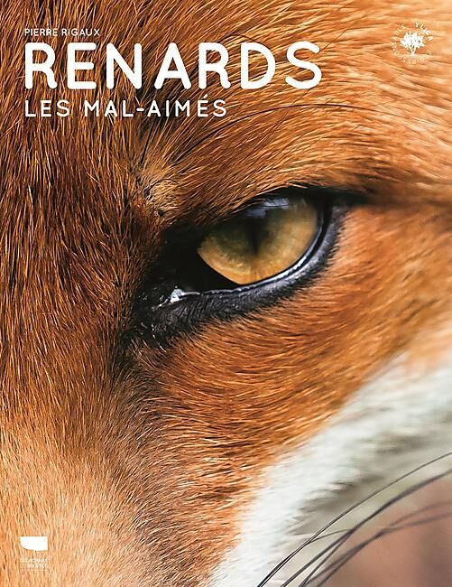 DELACHAUX  NIESTLE - RENARDS LES MAL AIMES