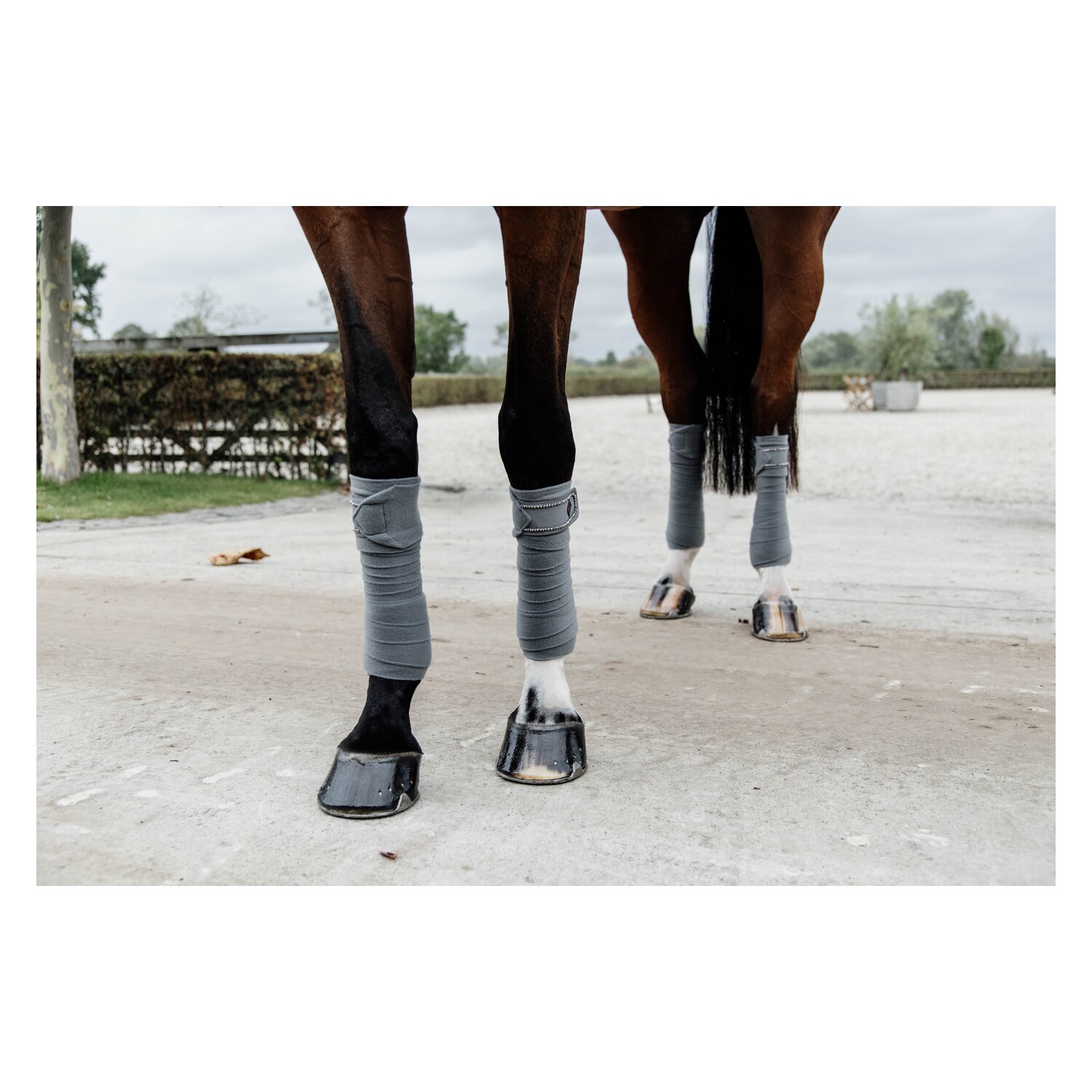 KENTUCKY Fleecebandagen Pearls  - grey