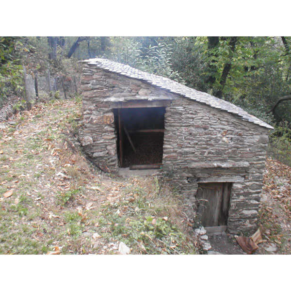 Farine de châtaigne artisanale des Cévennes - Muriel et Christian Fouquart