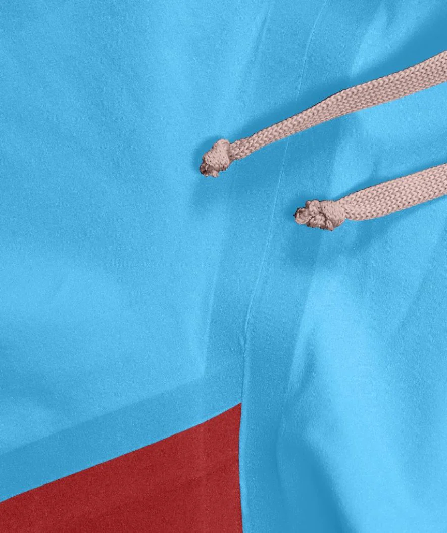 Speedo konkurrence badebukser til mænd - LZR Pure Valor 2.0 - Lyseblå/rød