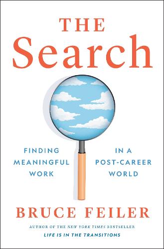 The Search: Finding Meaningful Work in a Post-Career World (Hardback)