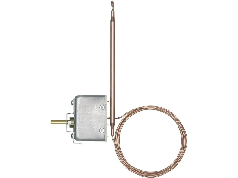 Jumo 60000219 Temperaturbegrænser