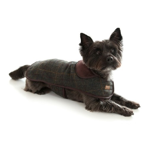 Casaco/arnês para cães em tweed cinza