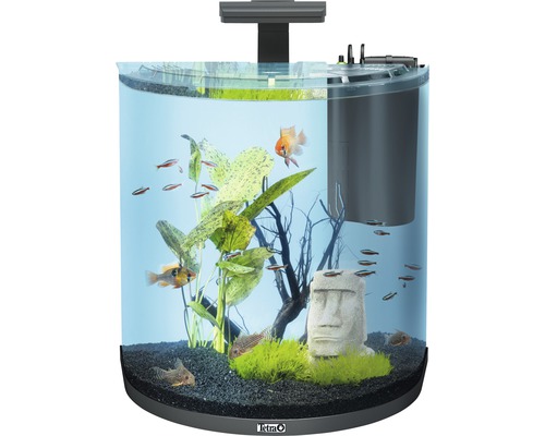 Tetra AquaArt Explorer Line 60L aquarium met verlichting, verwarming en filter (zonder kast), zwart