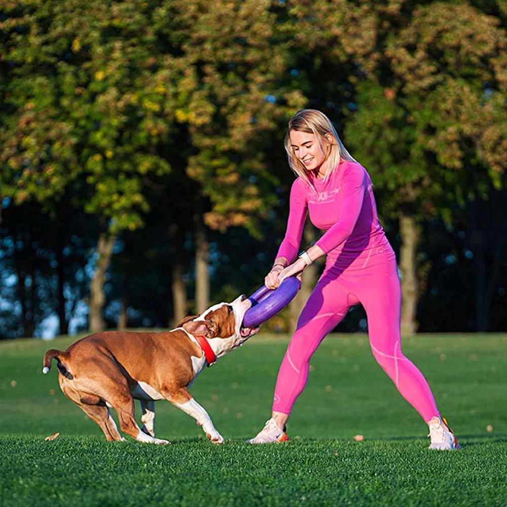 Jouet interactif pour chiens grands puller maxi 1 bague, entraînement, course, saut, tir, spring pole, non toxique