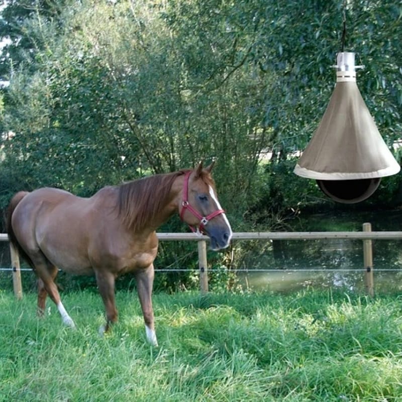 Dazenval TAON-X Eco Compleet | 11137
