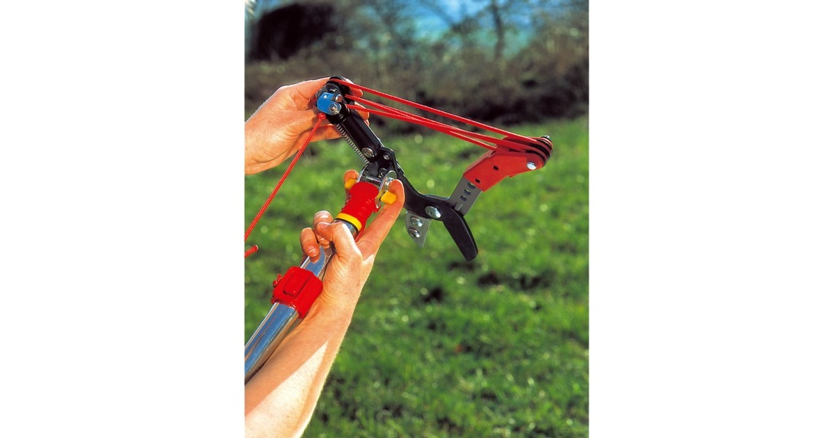 WOLF-Gartenmulti-star boomschaar Vario RC-VM  (Rood)