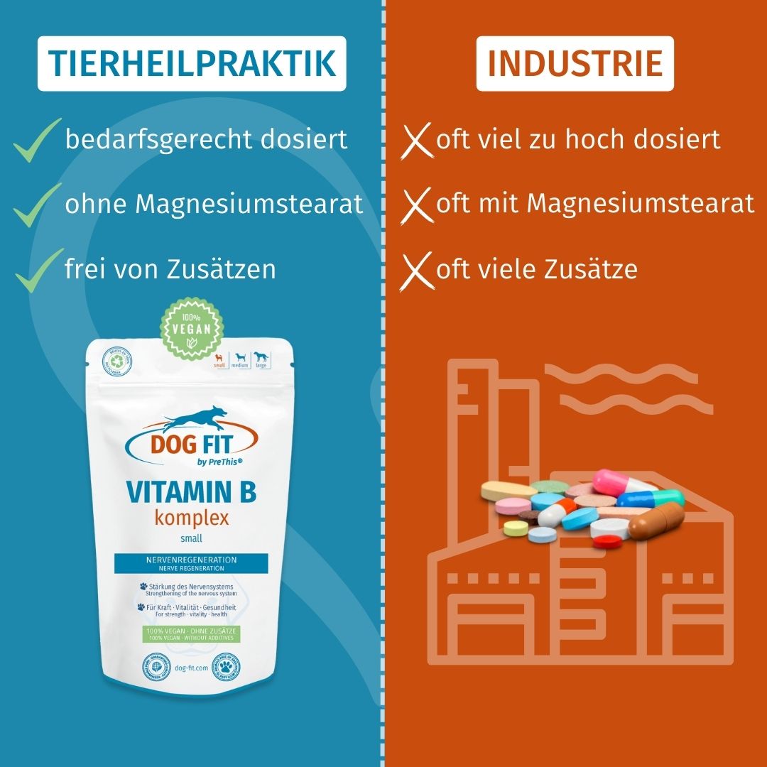 DOG FIT by PreThis® VITAMIN B für Hunde » Nerven, Inkontinenz, Bandscheibenvorfall (small)