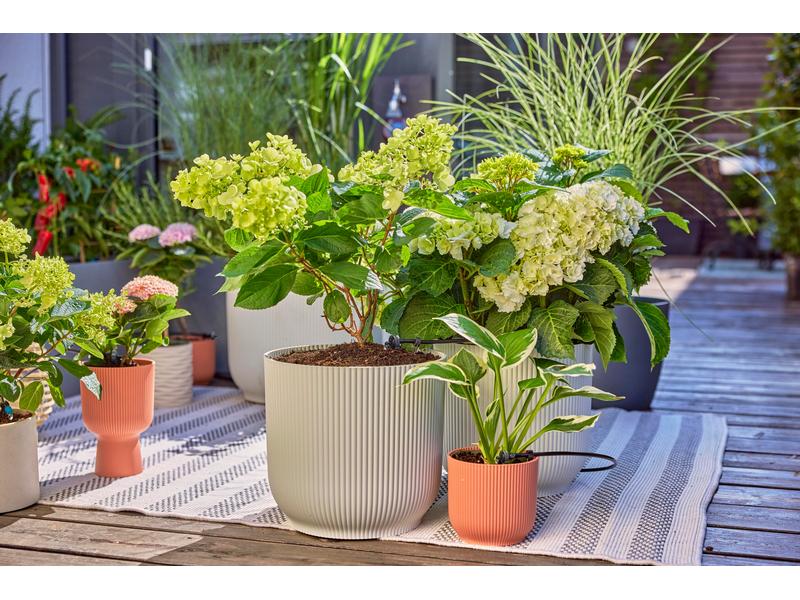 GARDENA Start-Set Tropfbewässerung für Terrassen Micro-Drip Startset für eine zuverlässige Tropfbewässerung von bis zu 30 Terrassenpflanzen
