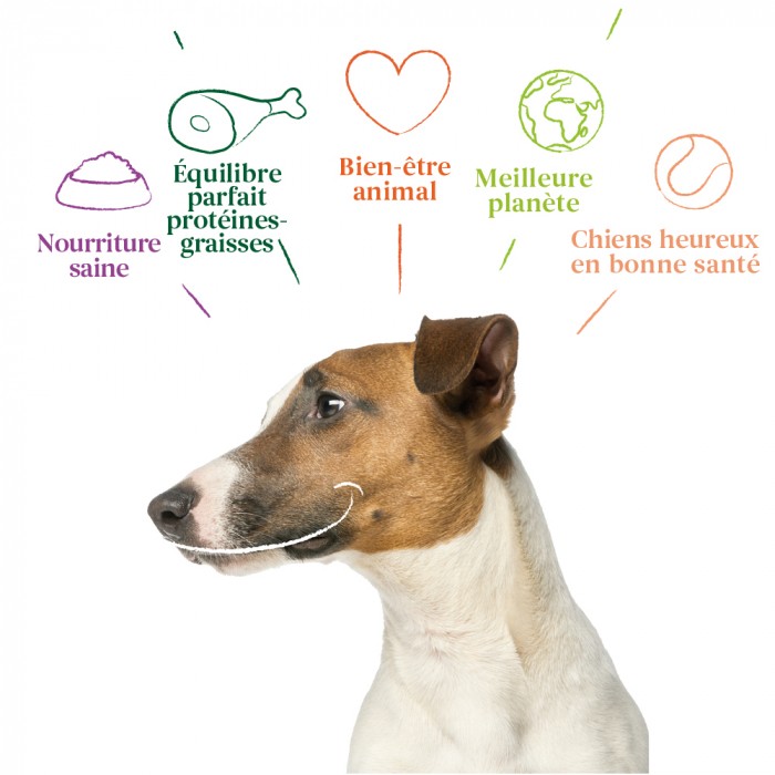 Yarrah mini snacks bio pour chien