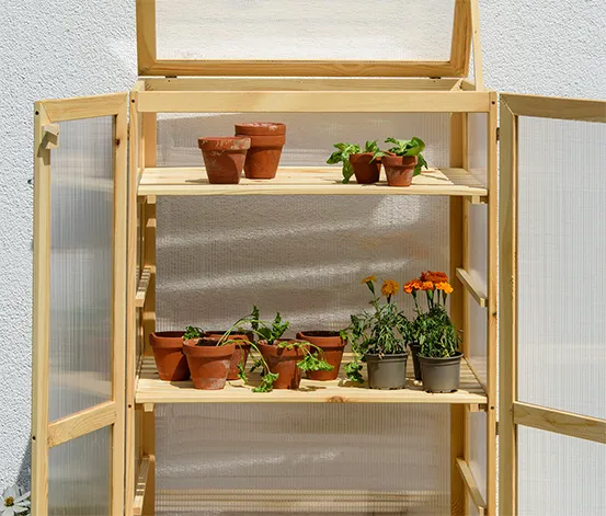Anzuchtschrank »Dome«, naturfarben