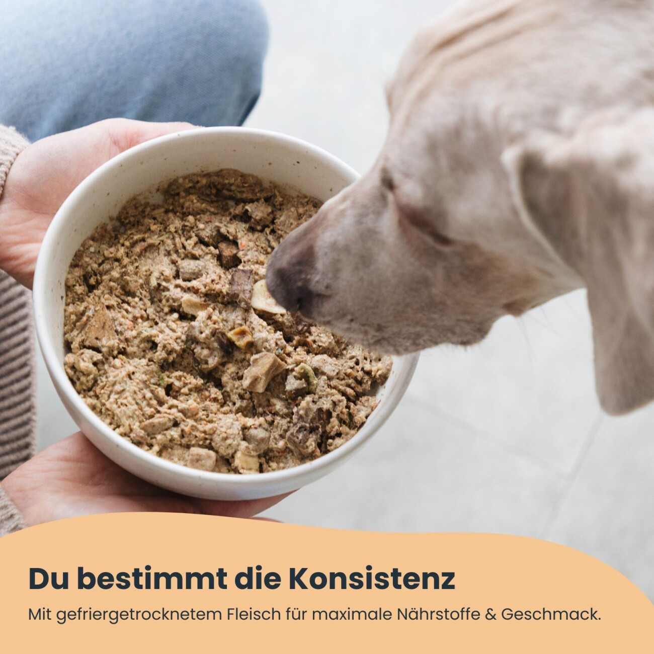 Wynn Petfood Reisetüten Nassfutter Rind mit Süßkartoffel