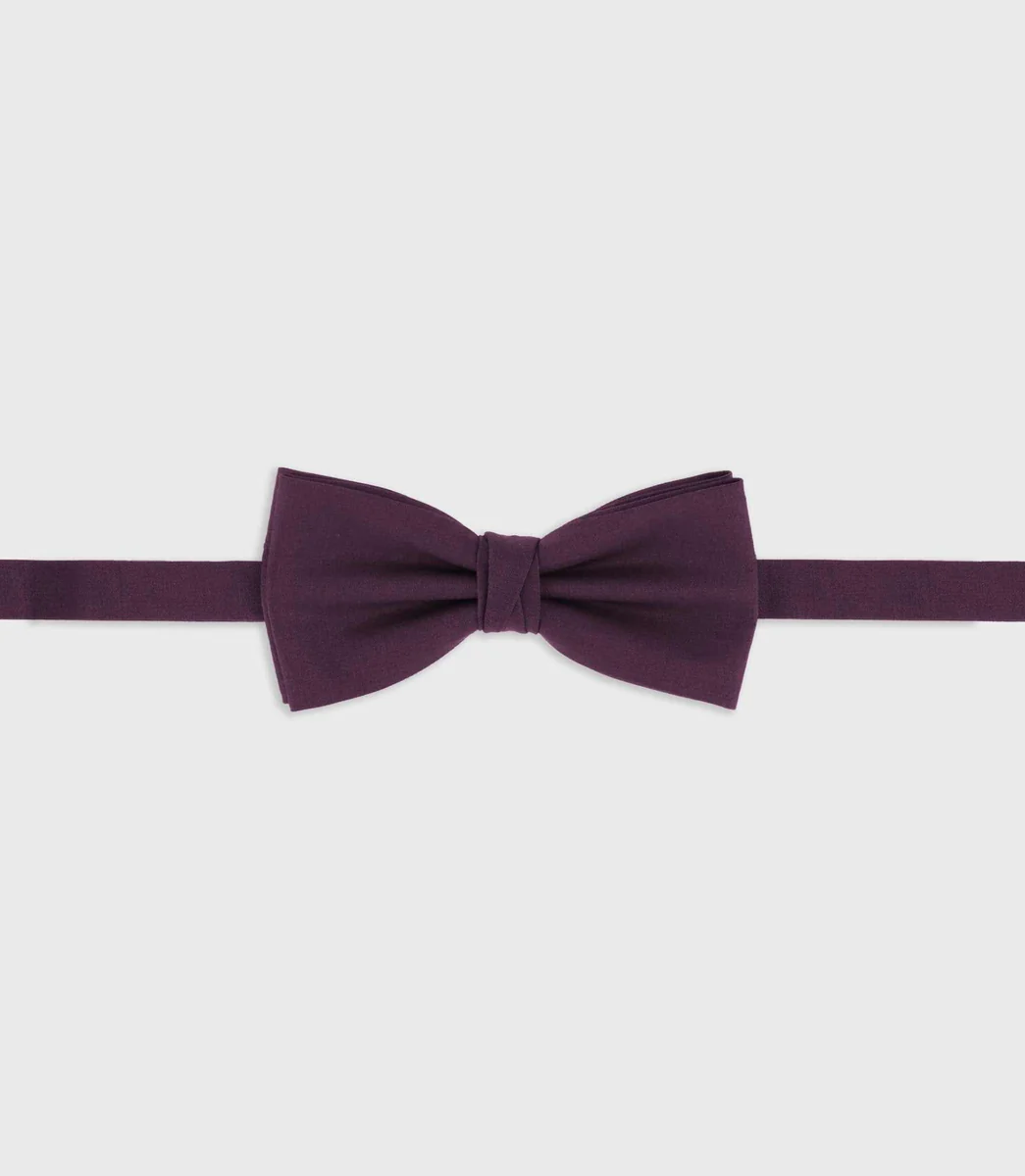 Nœud papillon violet NPTIAGO
