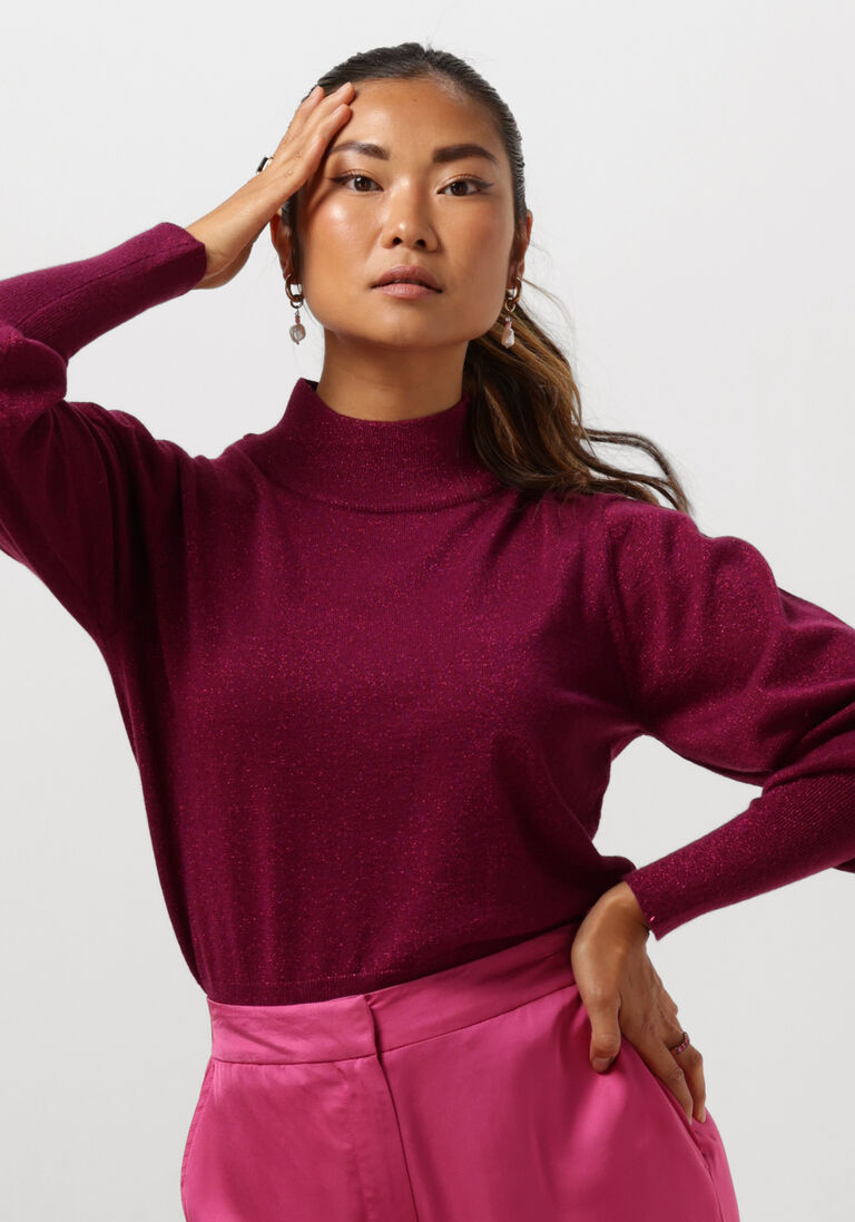 SILVIAN HEACH paarse silvian heach trui lupetto m/l -sweater