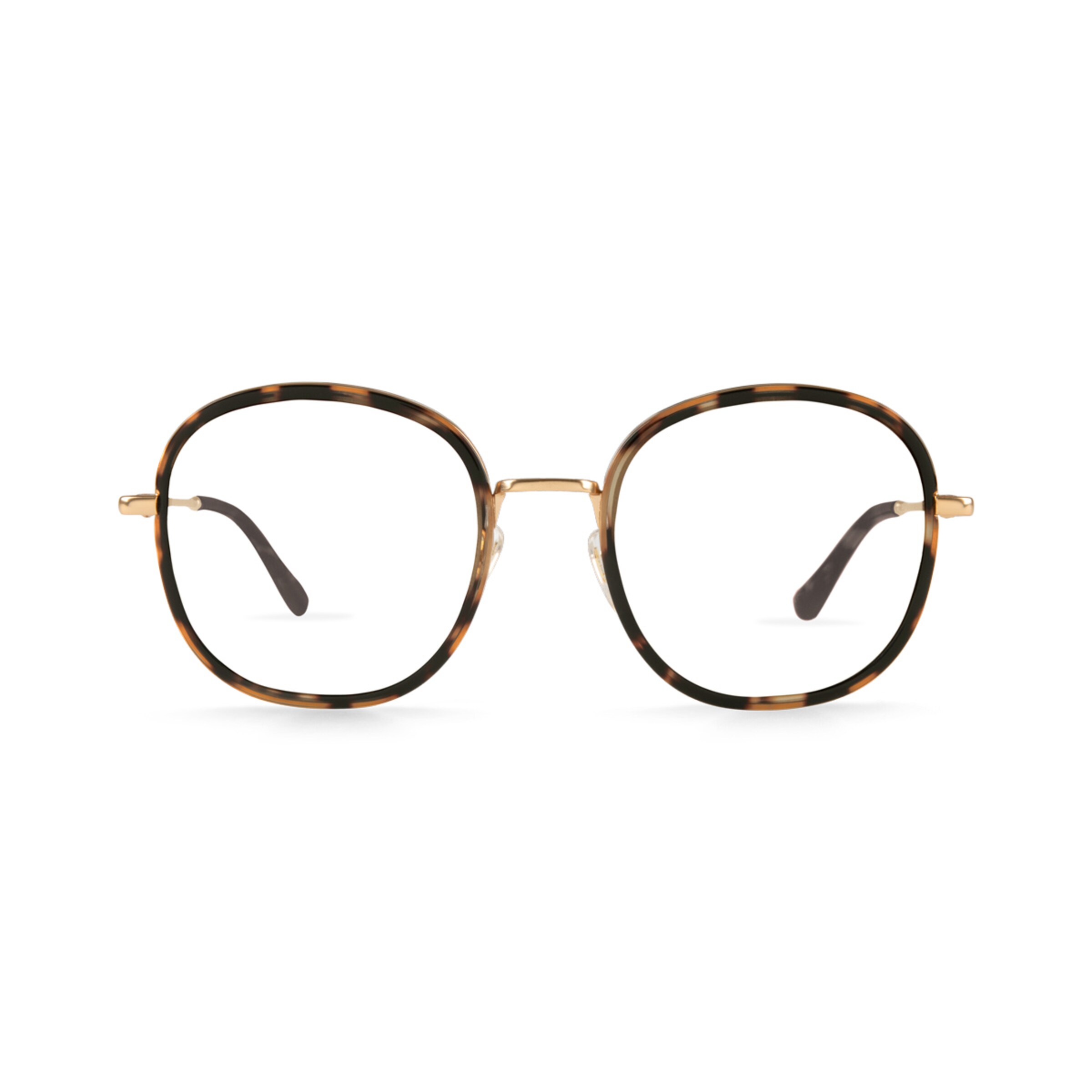 Amsterdam Large Umber Tortoise