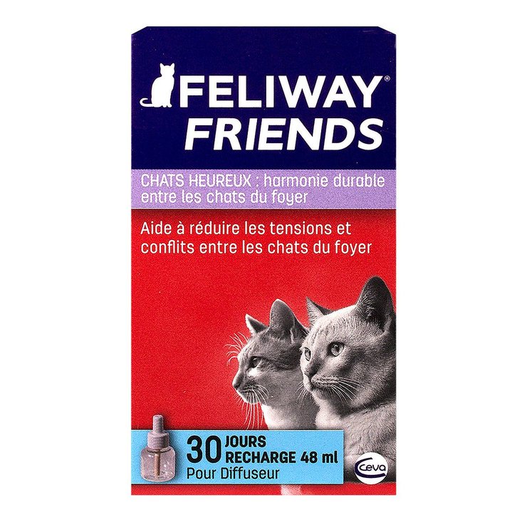 Friends recharge 30 jours 48ml
