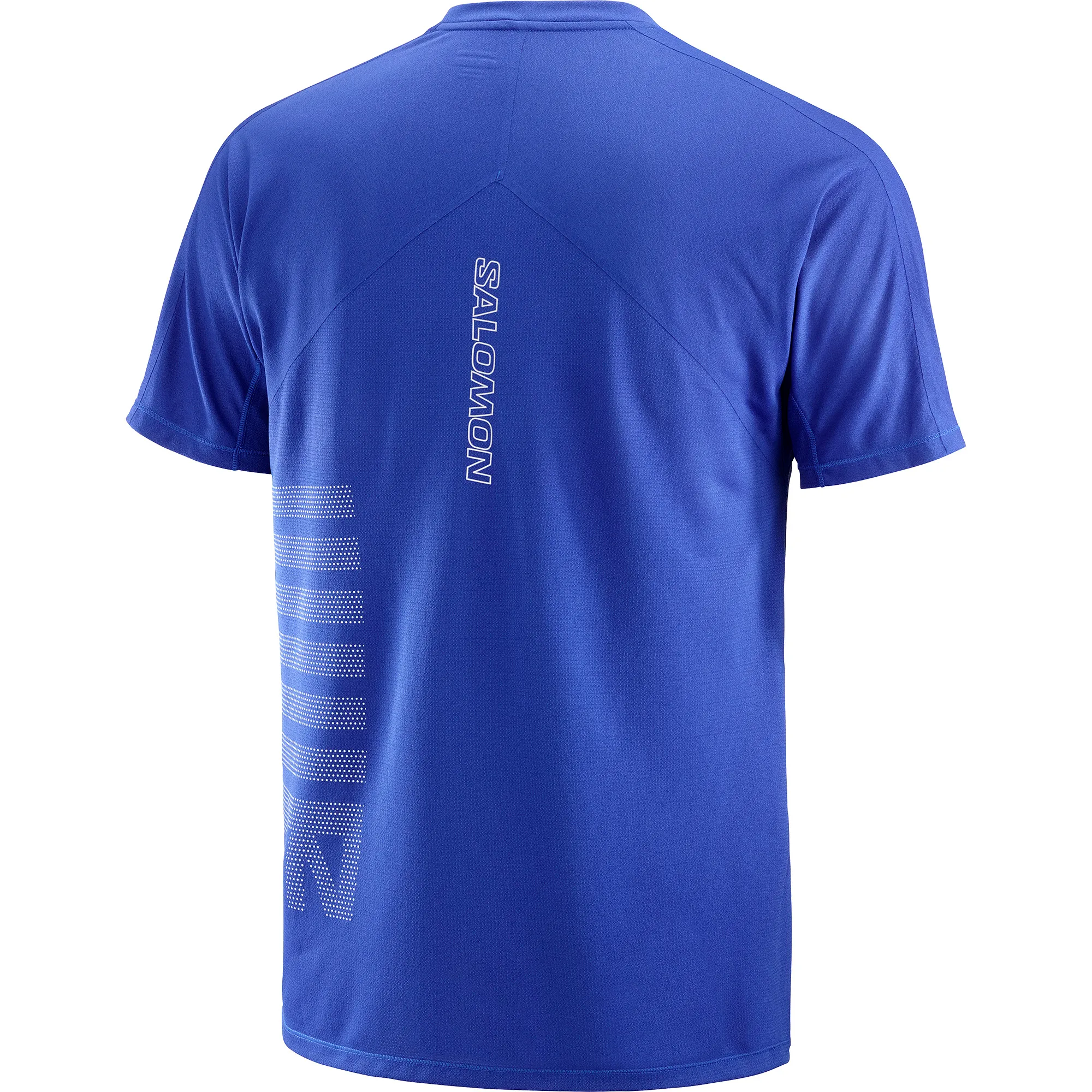 Salomon Sense Aero Ss Tee Gfx M Surf The Web / Rainy Day