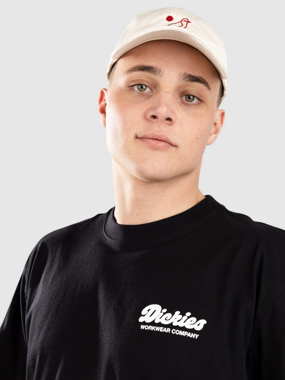 Dickies Lewistown T-Shirt black