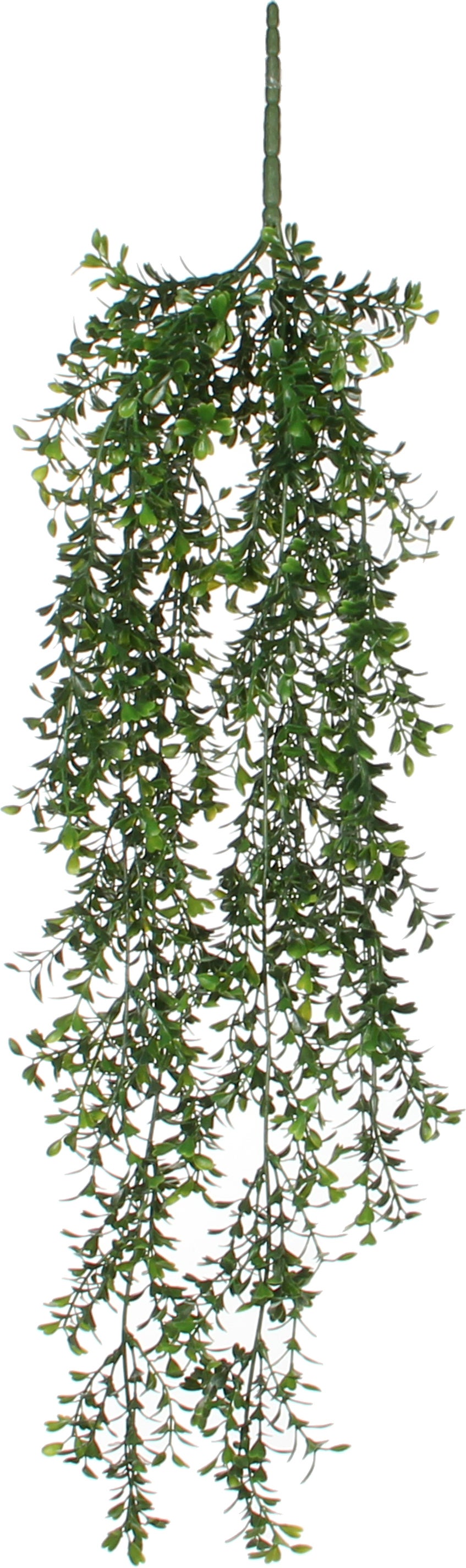 Mica Decorations kunsthangplant Buxus groen 74 cm