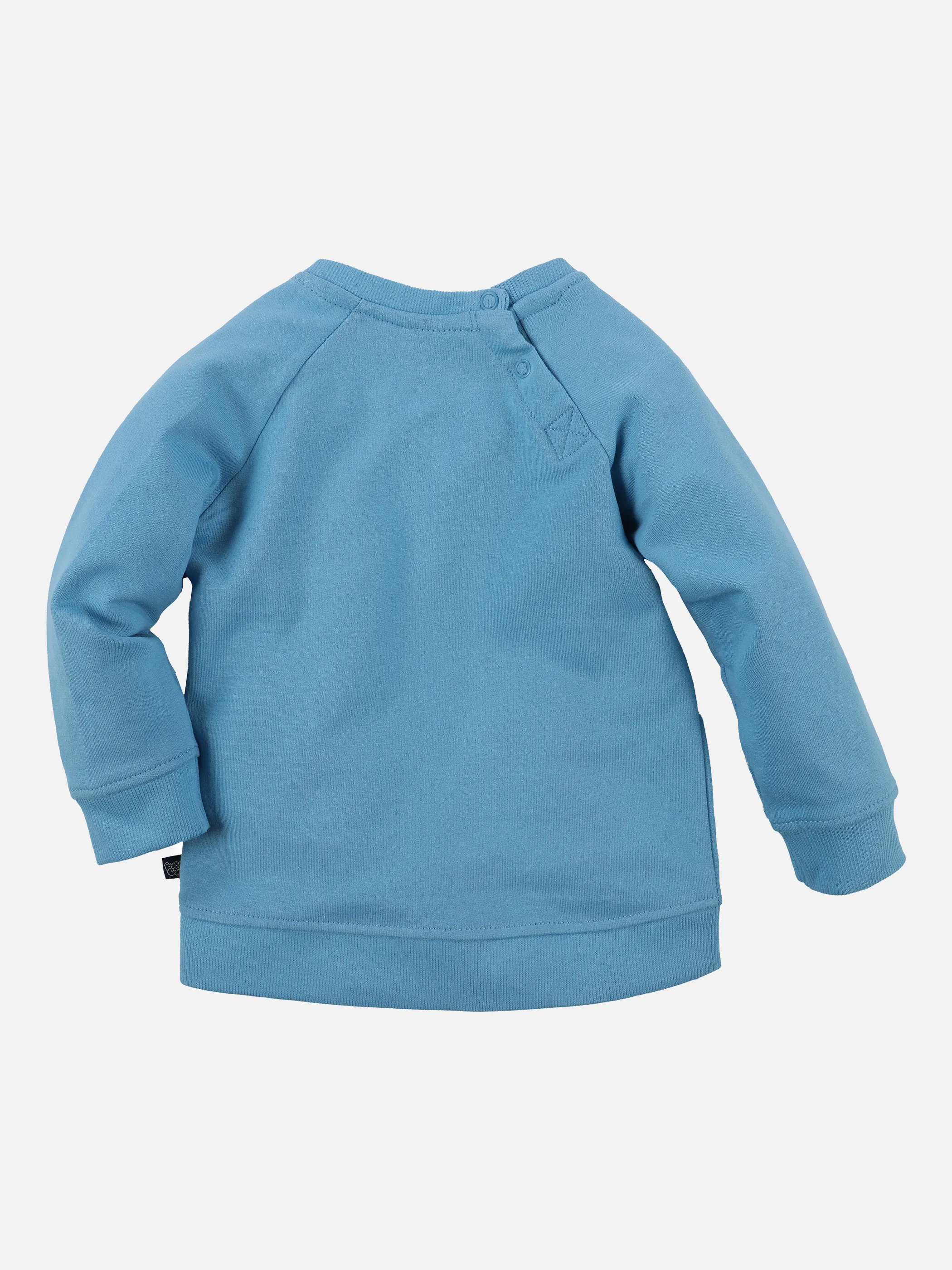 Baby Jungen Sweatshirt mit Applikation