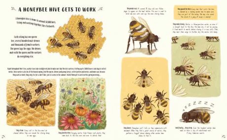 Slow Down: Bring Calm to a Busy World with 50 Nature Stories (Hardback)