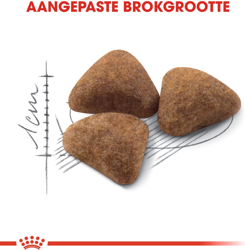 Royal Canin kattenvoer Indoor 27 2 kg