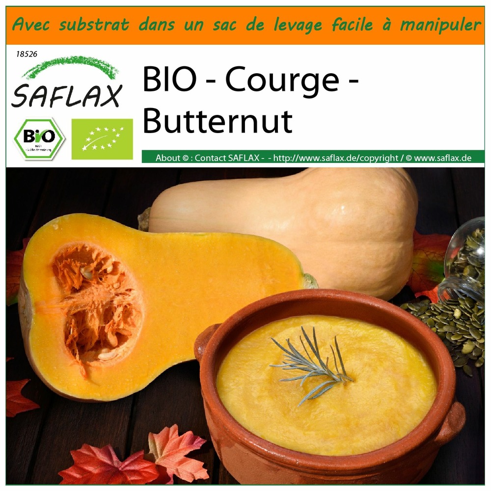 Jardin dans le sac - bio - courge - butternut - 6 graines - cucurbita moschata