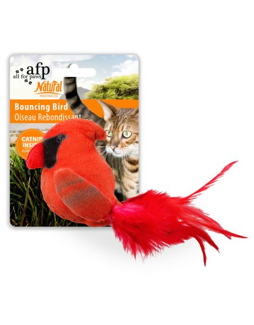 All For Paws Bouncing Bird - Kattenspeelgoed - 10x20x7 cm Assorti