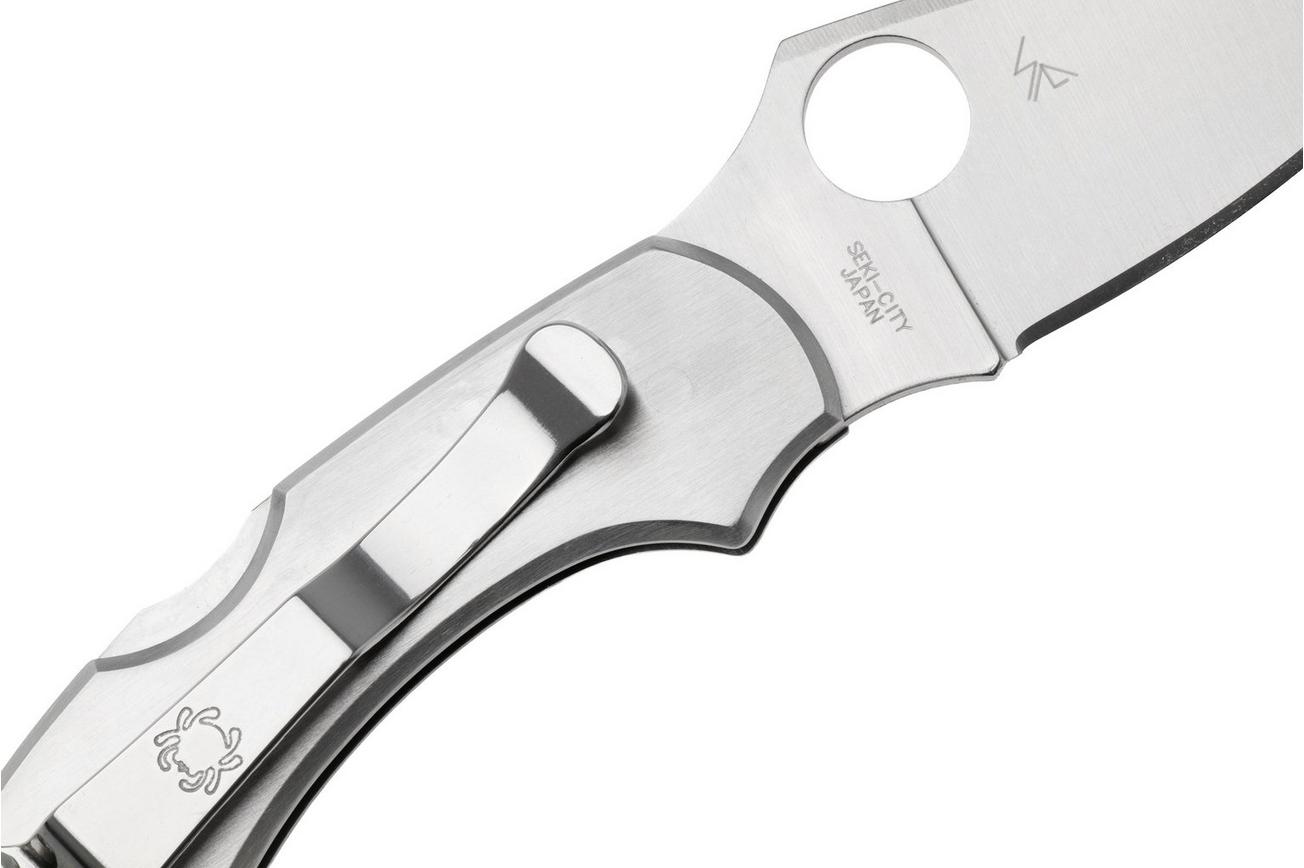 Spyderco Dragonfly C28P zakmes