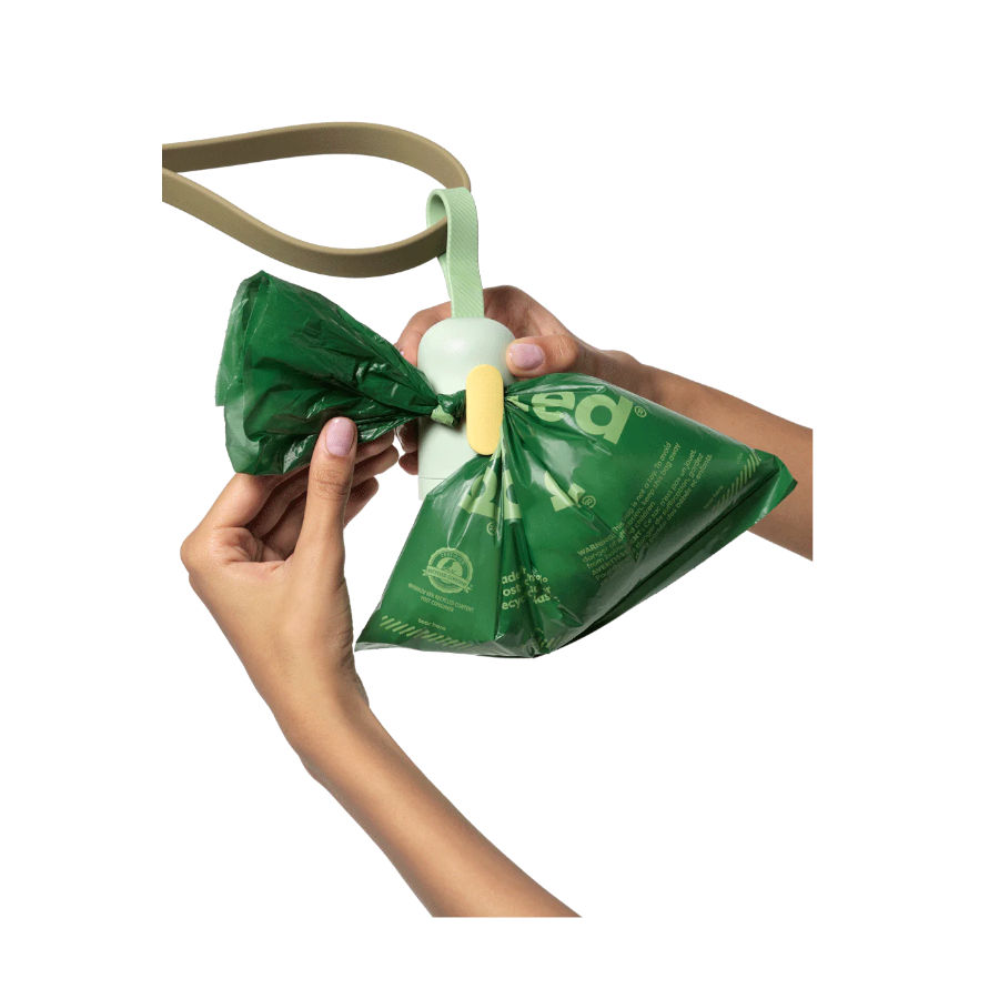 Dispensador de sacos higiênicos e embalagens para dejetos caninos com classificação ambiental Earth