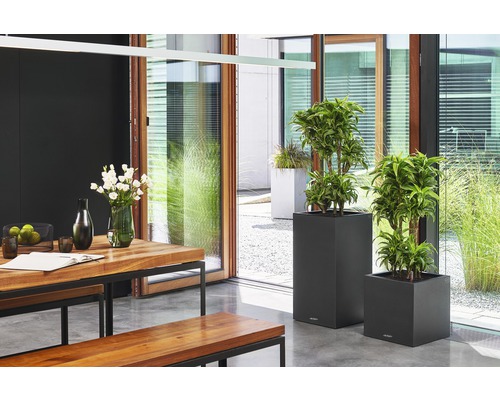 Lechuza Canto Stone plantenbak 40 x 40 x H 76 cm zwart incl. zelfbewateringssysteem, plantenbak, substraat en waterniveau-indicator