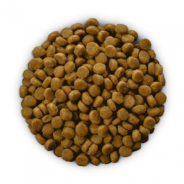 HILL'S Prescription Diet c/d Urinary Care Multicare au Poulet - Croquettes pour chien