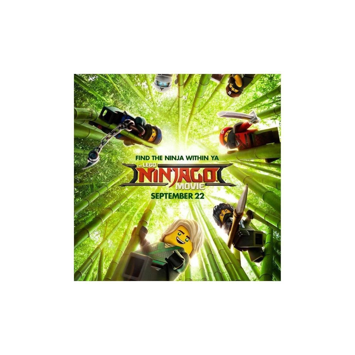 Warner Bros. Games Lego Ninjago, Le Film : Le Jeu Video Sur Ps4