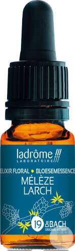 Ladrôme Mélèze Europe N°19 10ml