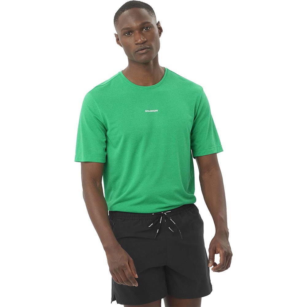 Salomon SHAKEout CORE T-Shirt Herren parakeet