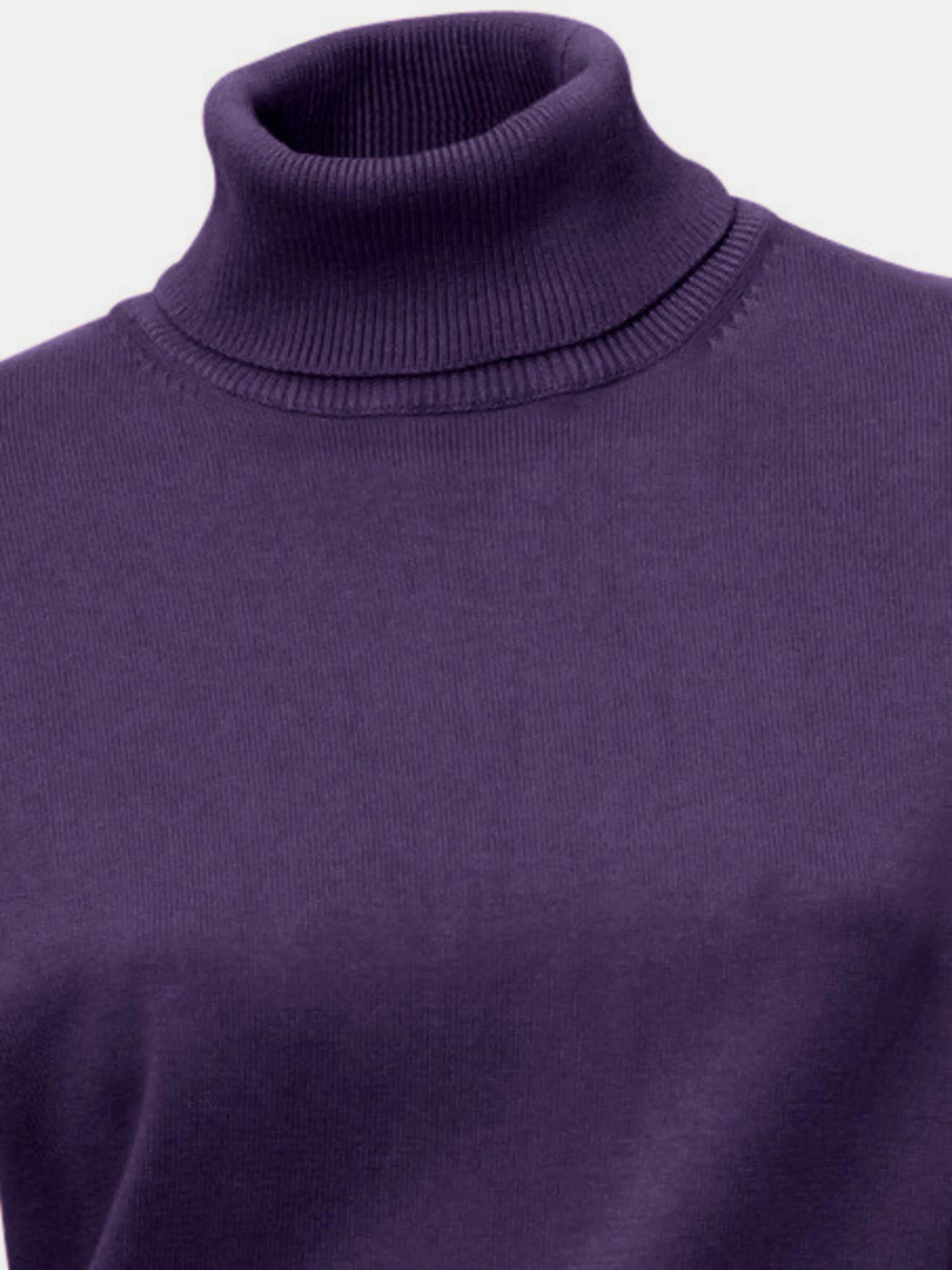 Rollkragenpullover