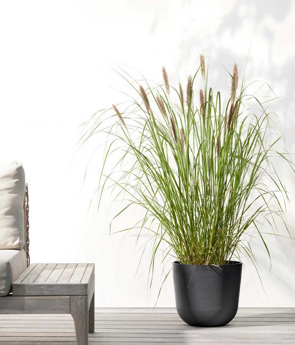 Ecopots Kunststoff-Topf Oslo, rund