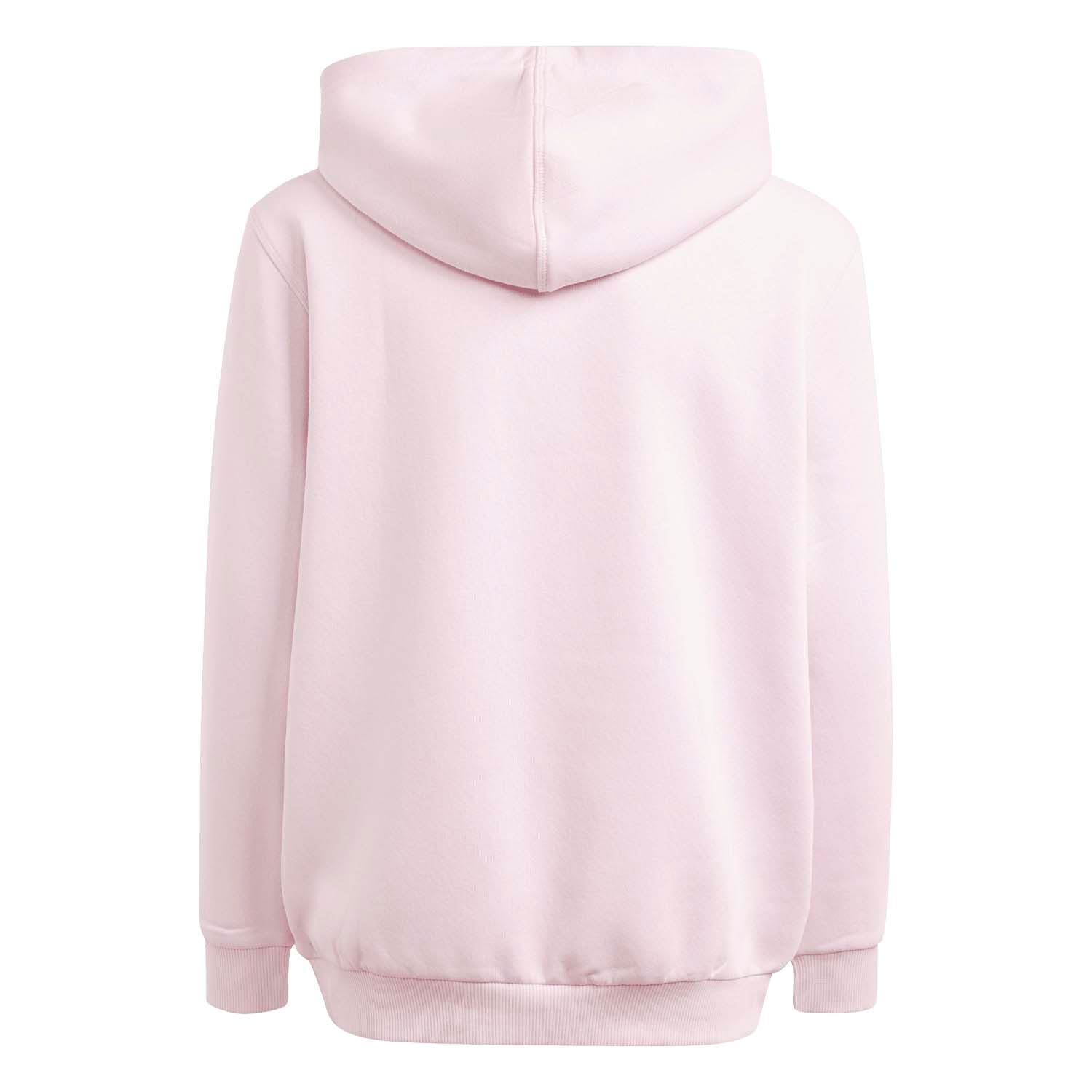adidas  All Season Graphic Hoodie Kids