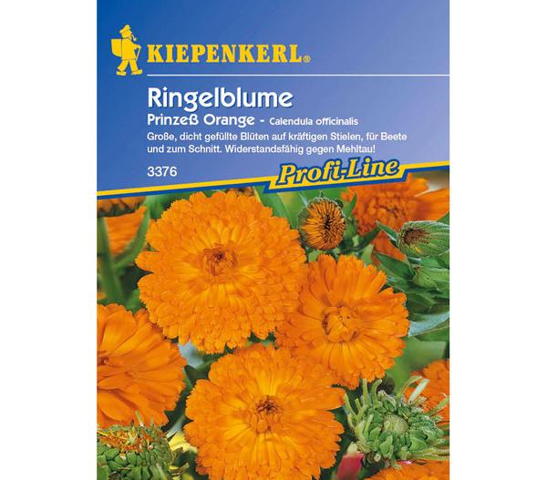 Ringelblume Prinzeß Orange, Saatgut von