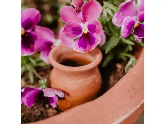 Ollas à planter en argile Cône